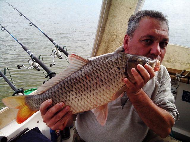 Sulina sept. 2013 - part. I - img20130919152839.jpg